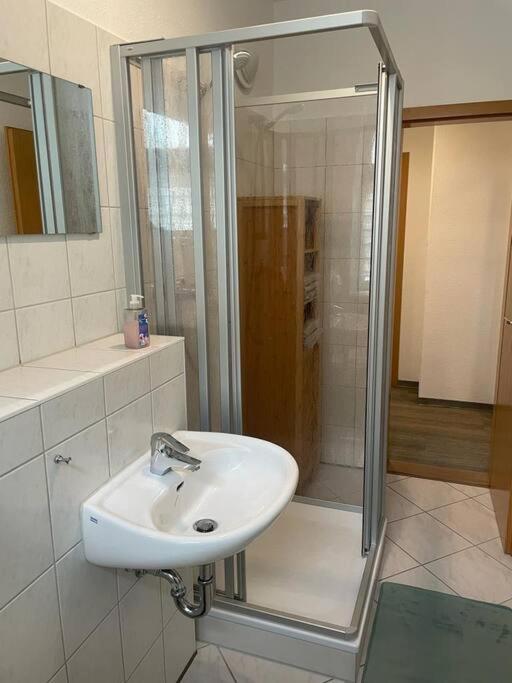 Ferienwohnung 3S Real Estate フライベルク エクステリア 写真